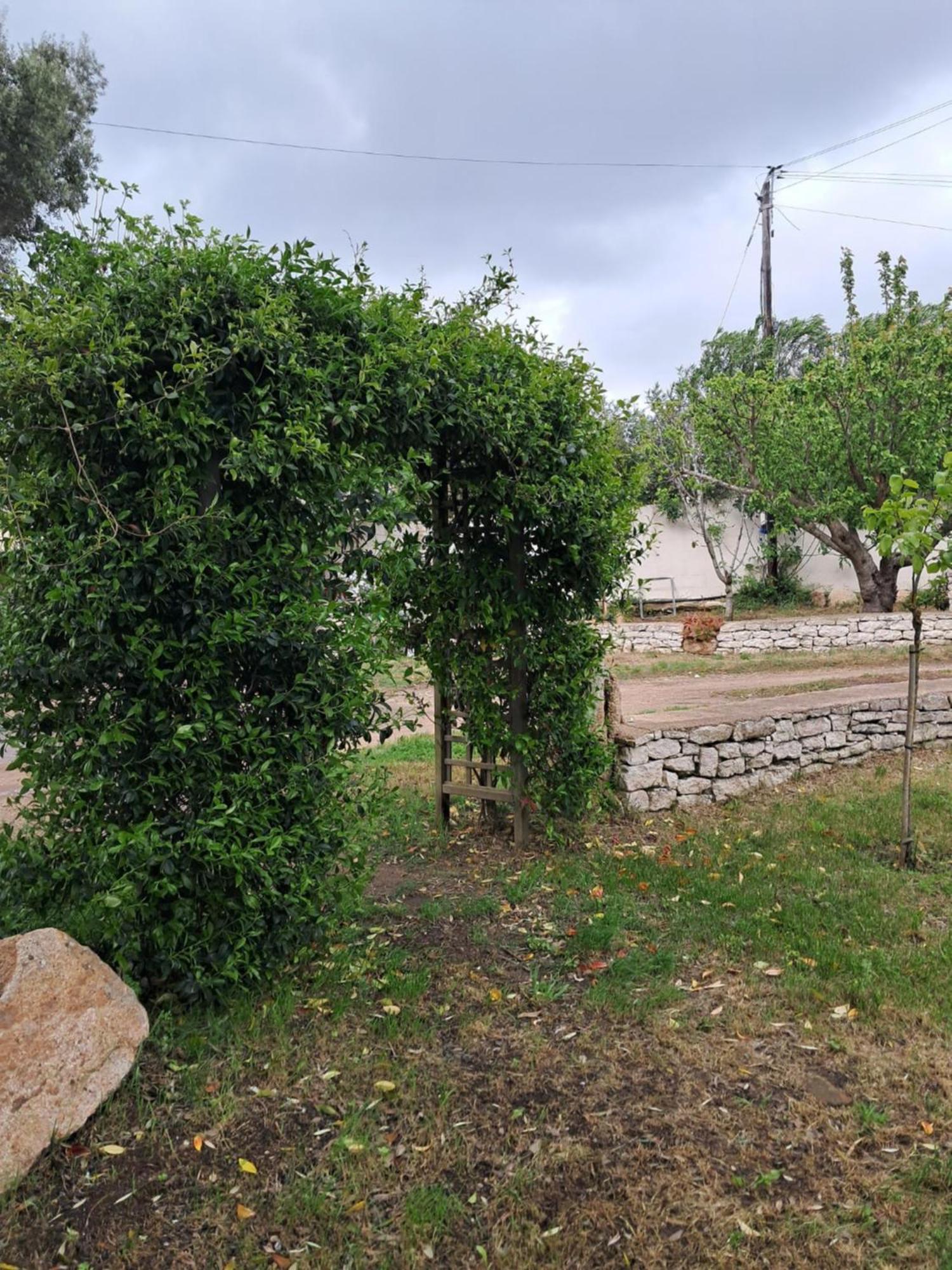 Mini Villa Giuseppina โบนิฟาซิโอ ภายนอก รูปภาพ